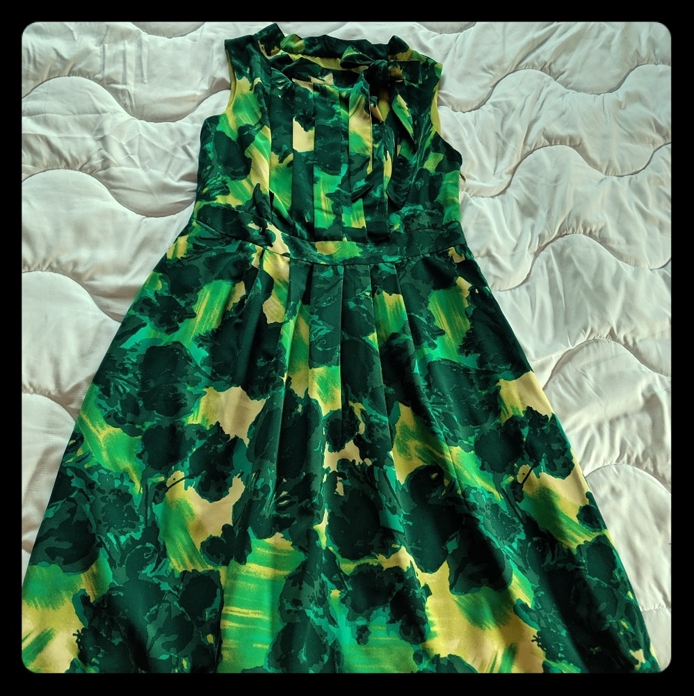 Green Merona dress!